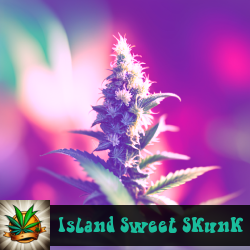 Island Sweet Skunk Marijuana Seeds